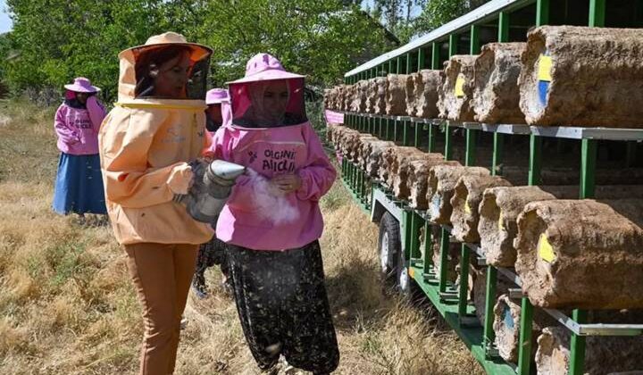 250 kovan desteğini aldılar, pembe maskeyle işe başladılar!