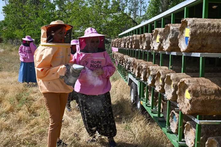 250 kovan desteğini aldılar, pembe maskeyle işe başladılar!