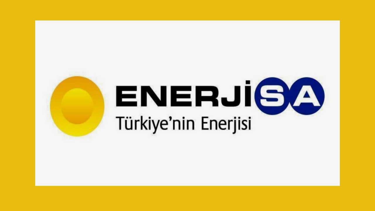 Enerjisa Enerji, altyapı yatırımlarına 2024 yılında da devam etti. 